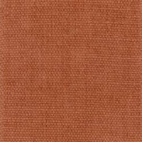 Orange (BEGONIA 650)