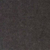 Gris foncé (PETUNIA 103)