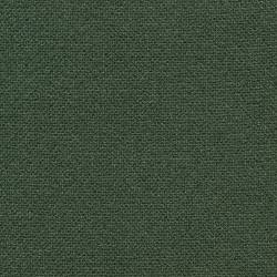 Vert forêt (PRIMULA 510)