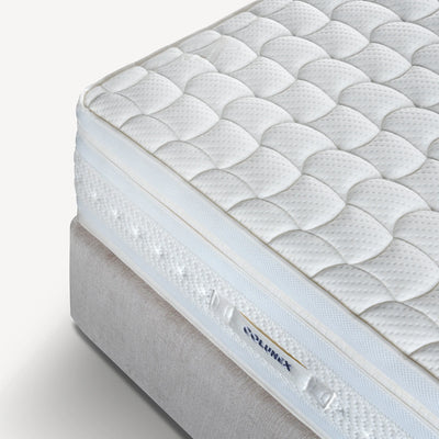 COLUNEX Neosleep Extra - Colunex | Milola