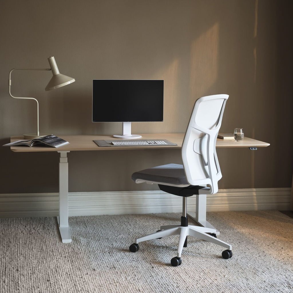 RISE Height-Adjustable Sit/Stand Desk - Modern Desk | Milola