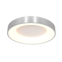 RINGLEDE Ceiling Lamp in Silver - Steinhauer | Milola
