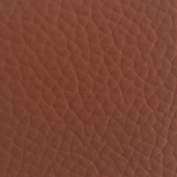 Tan Leather (P510)