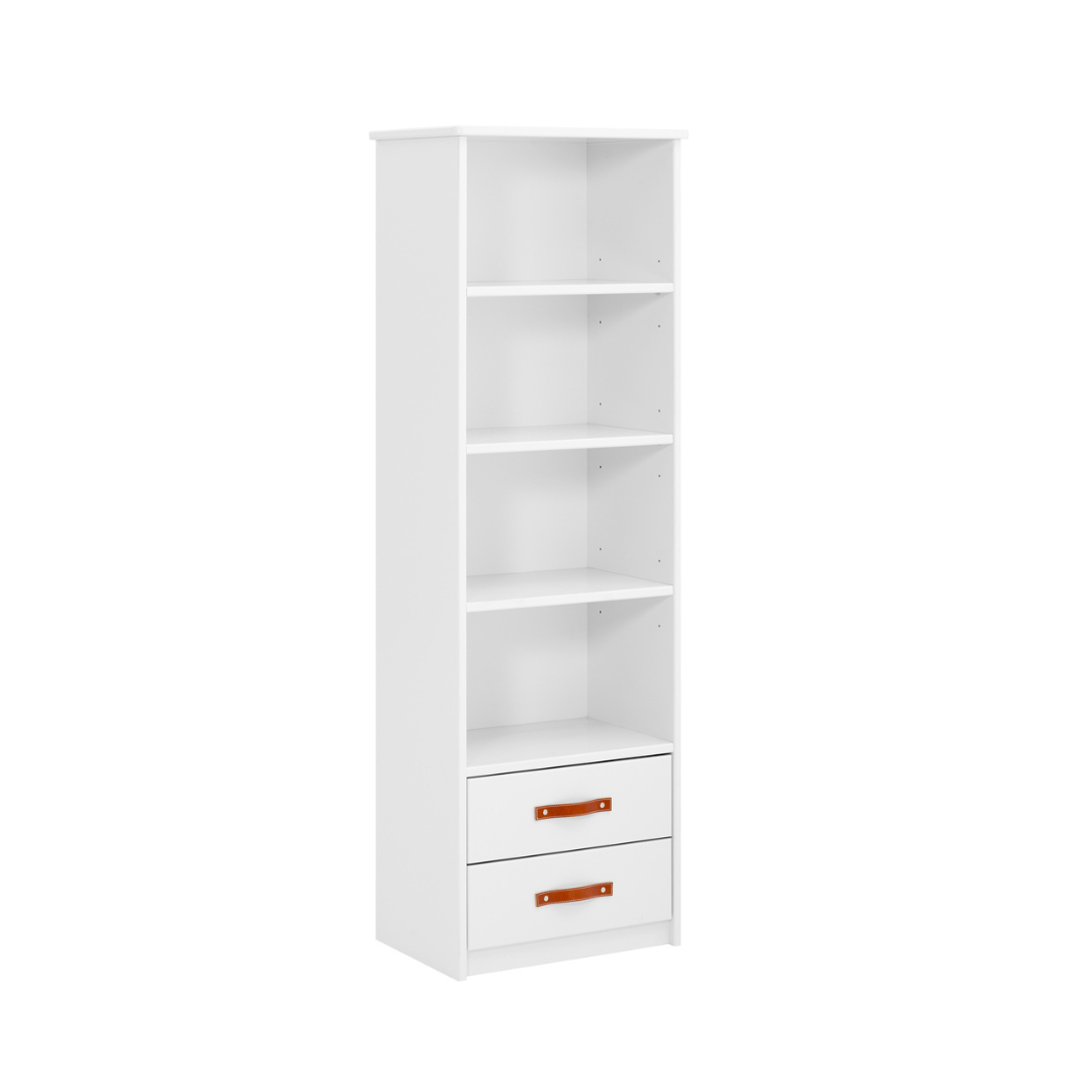 Cool kids Bookcase
