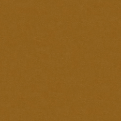 Dark Yellow VELVET 008