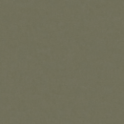 Beige/Green VELVET 097