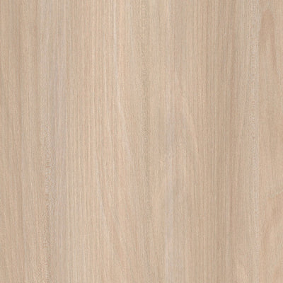 ANT Cabinet