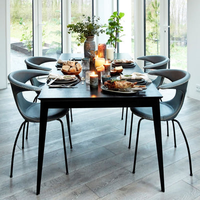 FLAIR-Dining Chair-Leather-Danform | Milola